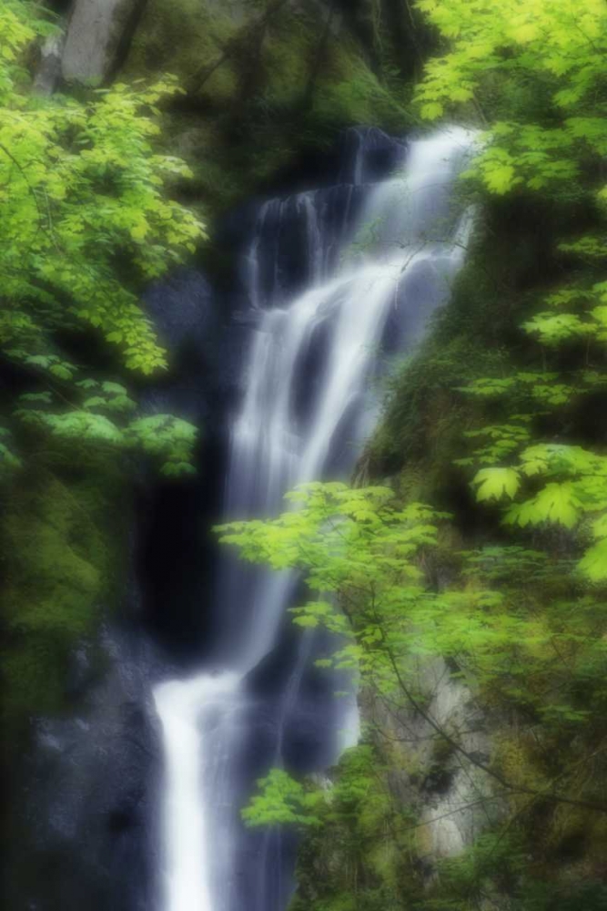 Canada, BC, Langford Waterfall at Goldstream PP art print by Marie Bush for $57.95 CAD
